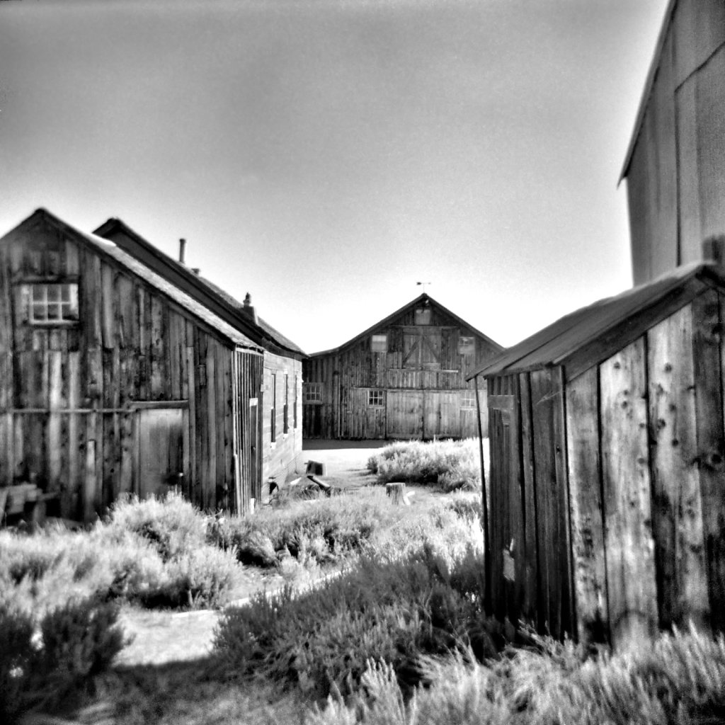 Abandoned Farm