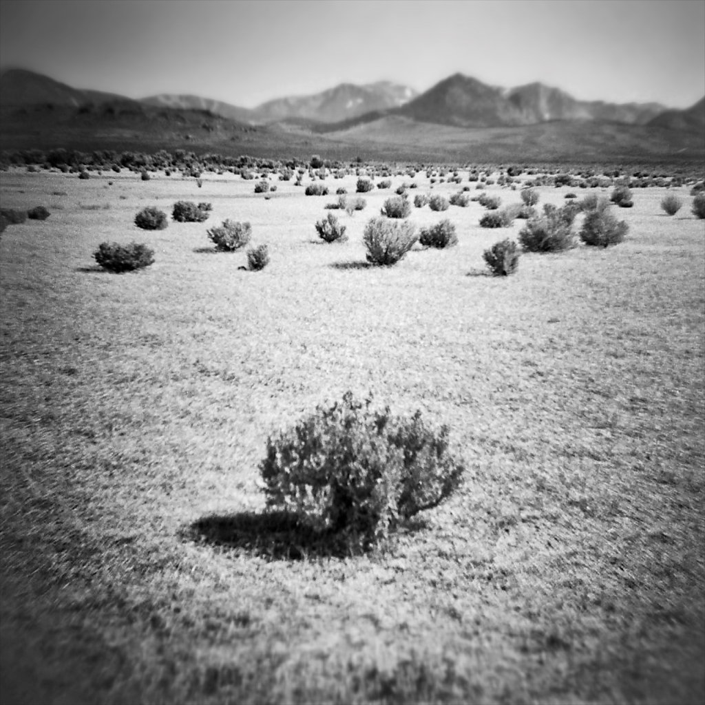 Mono Lake Area 01