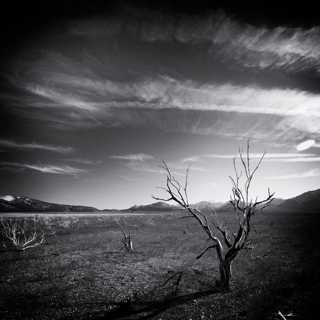 Mono Lake Area 03